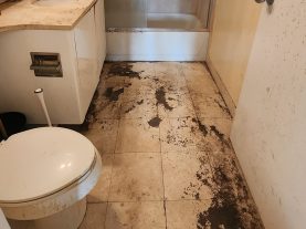 deep house cleaning services in Brooklyn. cleaning service for hoarders.