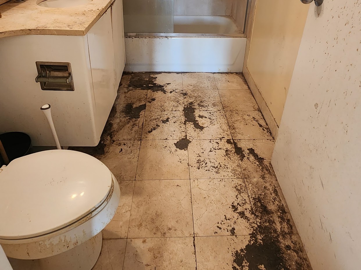 deep house cleaning services in Brooklyn. cleaning service for hoarders.