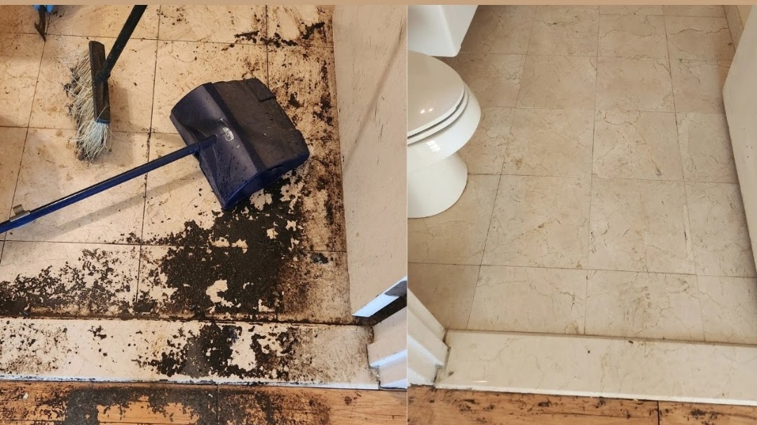 #1 Cleaning Service Near Me | Brooklyn Deep House Cleaner house cleaning service near me. shopping cart.