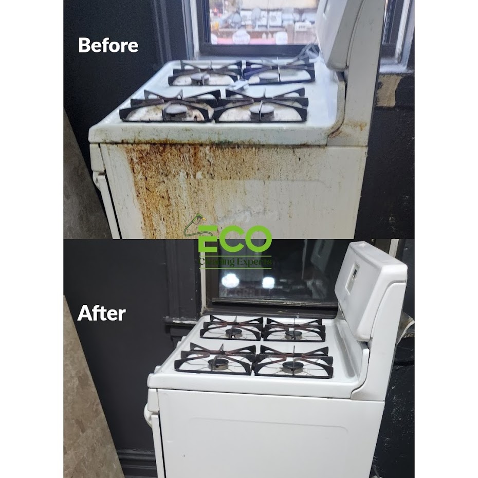 eco-friendly house cleaning services in Brooklyn results.