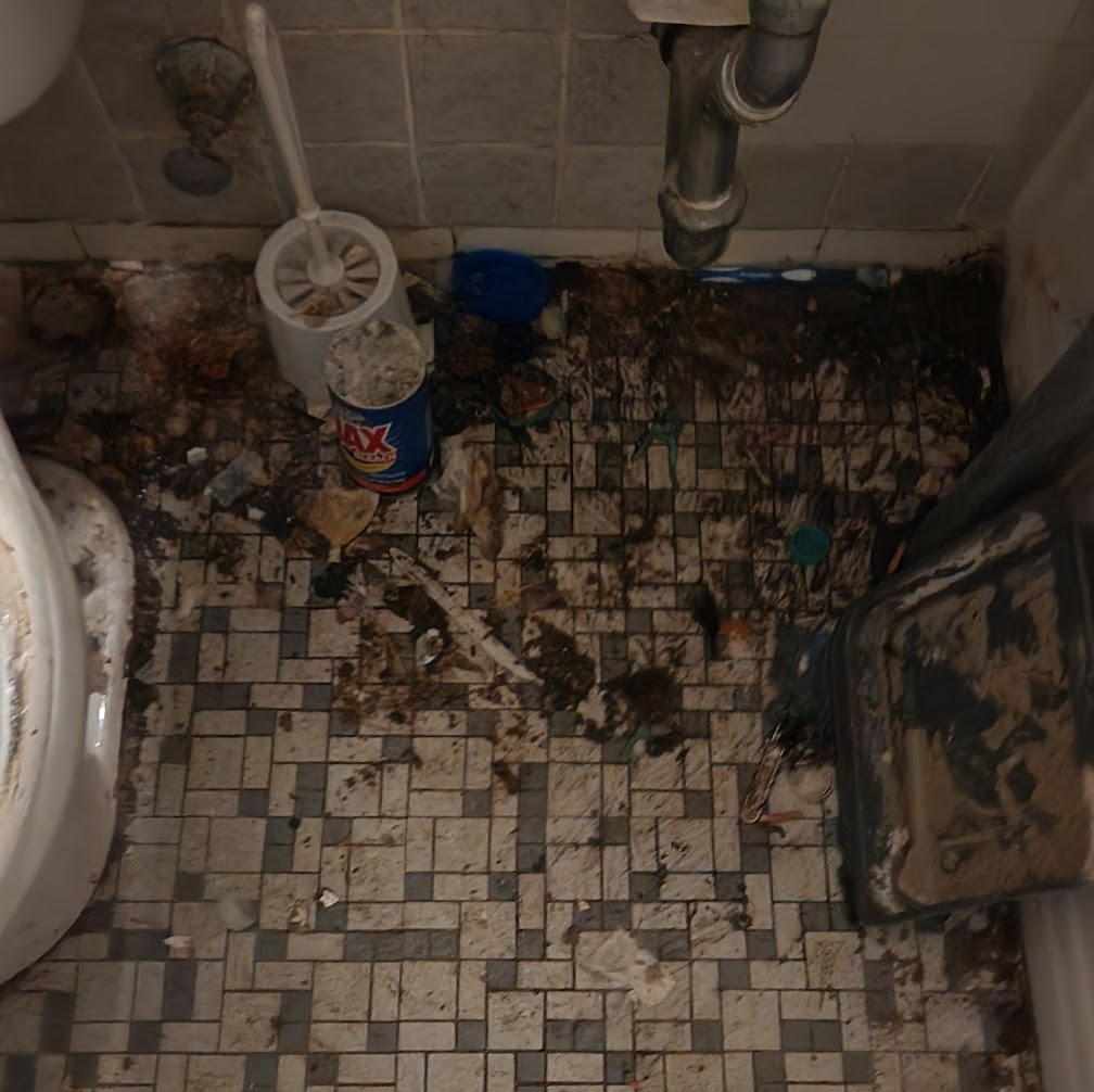 Expert Hoarder Cleaning NYC hoarding cleaning help in NYC